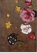 unknow artist Floral, beautiful classical still life of flowers.032 oil on canvas